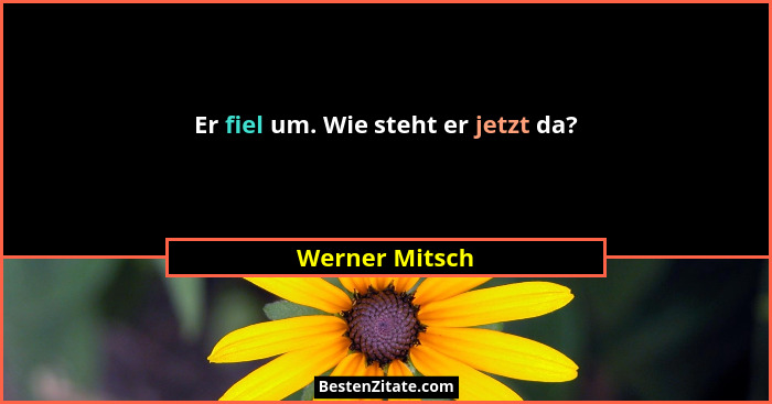 Er fiel um. Wie steht er jetzt da?... - Werner Mitsch