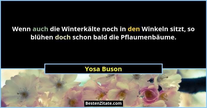 Wenn auch die Winterkälte noch in den Winkeln sitzt, so blühen doch schon bald die Pflaumenbäume.... - Yosa Buson