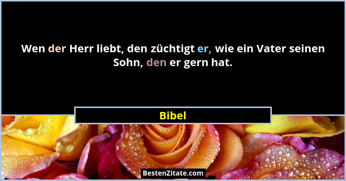Wen der Herr liebt, den züchtigt er, wie ein Vater seinen Sohn, den er gern hat.... - Bibel
