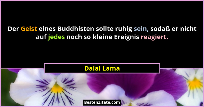 Der Geist eines Buddhisten sollte ruhig sein, sodaß er nicht auf jedes noch so kleine Ereignis reagiert.... - Dalai Lama
