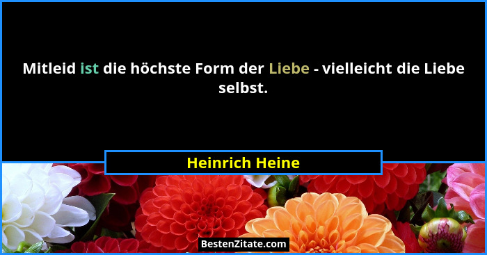 Mitleid ist die höchste Form der Liebe - vielleicht die Liebe selbst.... - Heinrich Heine
