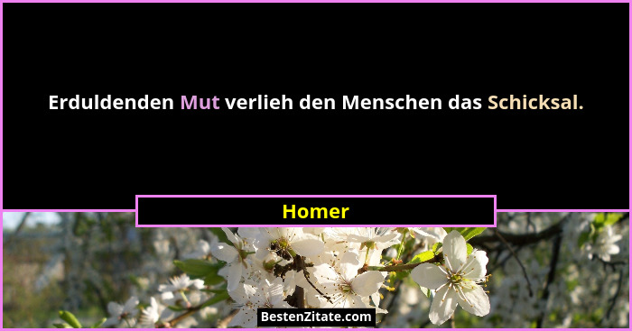 Erduldenden Mut verlieh den Menschen das Schicksal.... - Homer