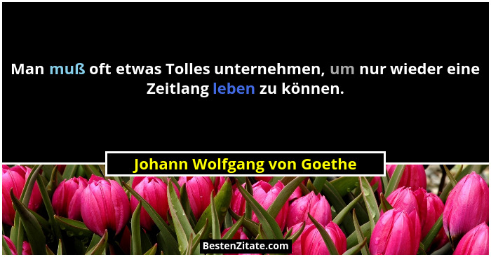 Man muß oft etwas Tolles unternehmen, um nur wieder eine Zeitlang leben zu können.... - Johann Wolfgang von Goethe