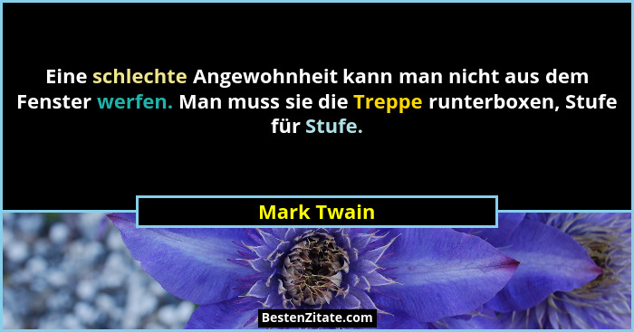 Eine schlechte Angewohnheit kann man nicht aus dem Fenster werfen. Man muss sie die Treppe runterboxen, Stufe für Stufe.... - Mark Twain