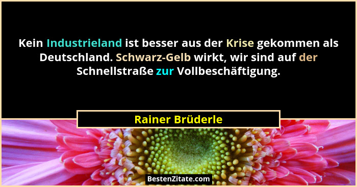 Kein Industrieland ist besser aus der Krise gekommen als Deutschland. Schwarz-Gelb wirkt, wir sind auf der Schnellstraße zur Vollbes... - Rainer Brüderle