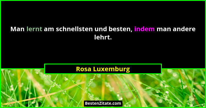 Man lernt am schnellsten und besten, indem man andere lehrt.... - Rosa Luxemburg