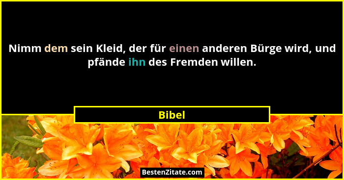 Nimm dem sein Kleid, der für einen anderen Bürge wird, und pfände ihn des Fremden willen.... - Bibel