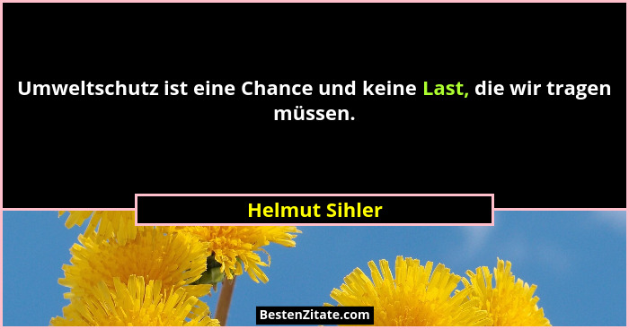 Umweltschutz ist eine Chance und keine Last, die wir tragen müssen.... - Helmut Sihler