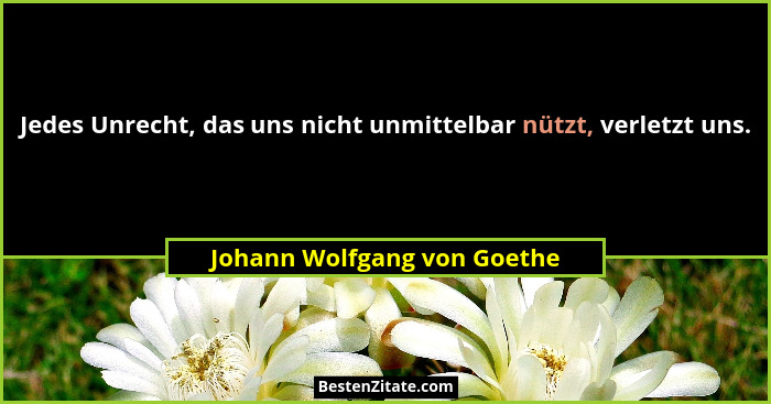 Jedes Unrecht, das uns nicht unmittelbar nützt, verletzt uns.... - Johann Wolfgang von Goethe