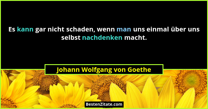Es kann gar nicht schaden, wenn man uns einmal über uns selbst nachdenken macht.... - Johann Wolfgang von Goethe