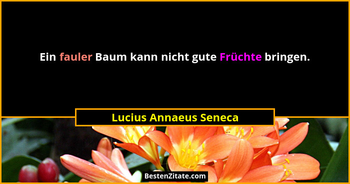 Ein fauler Baum kann nicht gute Früchte bringen.... - Lucius Annaeus Seneca