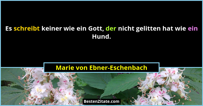 Es schreibt keiner wie ein Gott, der nicht gelitten hat wie ein Hund.... - Marie von Ebner-Eschenbach