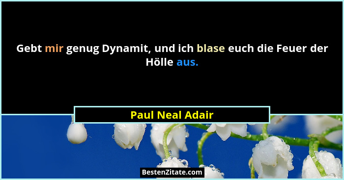 Gebt mir genug Dynamit, und ich blase euch die Feuer der Hölle aus.... - Paul Neal Adair