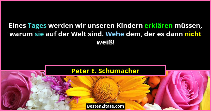 Eines Tages werden wir unseren Kindern erklären müssen, warum sie auf der Welt sind. Wehe dem, der es dann nicht weiß!... - Peter E. Schumacher