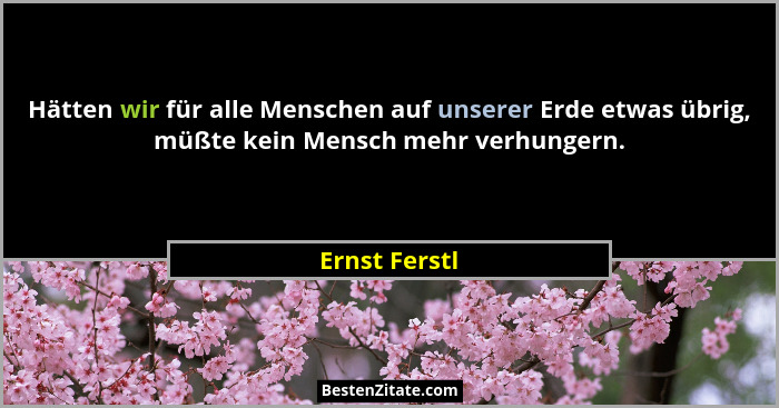 Hätten wir für alle Menschen auf unserer Erde etwas übrig, müßte kein Mensch mehr verhungern.... - Ernst Ferstl