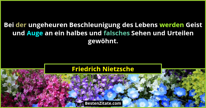 Bei der ungeheuren Beschleunigung des Lebens werden Geist und Auge an ein halbes und falsches Sehen und Urteilen gewöhnt.... - Friedrich Nietzsche
