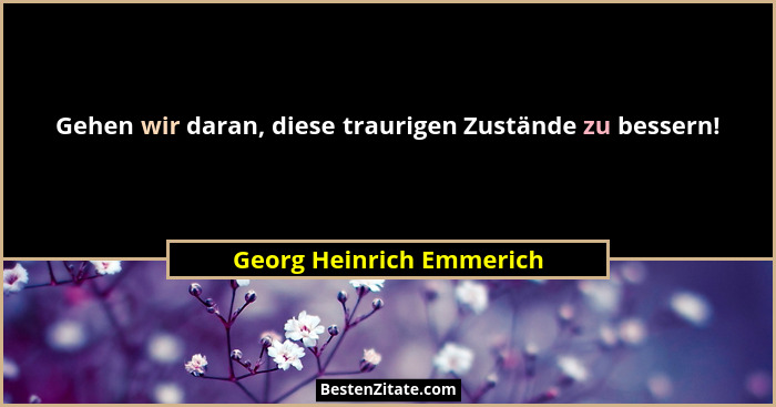 Gehen wir daran, diese traurigen Zustände zu bessern!... - Georg Heinrich Emmerich