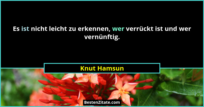 Es ist nicht leicht zu erkennen, wer verrückt ist und wer vernünftig.... - Knut Hamsun