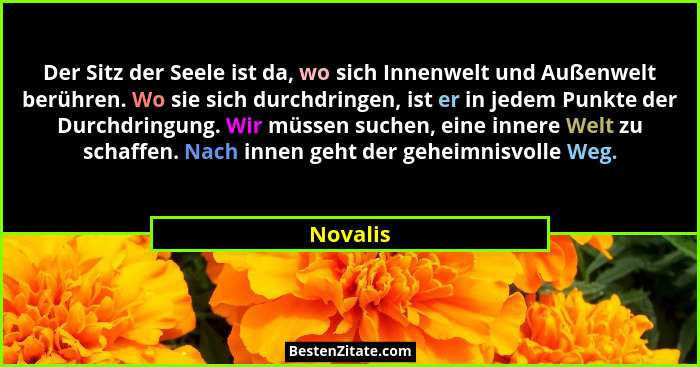 Der Sitz der Seele ist da, wo sich Innenwelt und Außenwelt berühren. Wo sie sich durchdringen, ist er in jedem Punkte der Durchdringung. Wir... - Novalis
