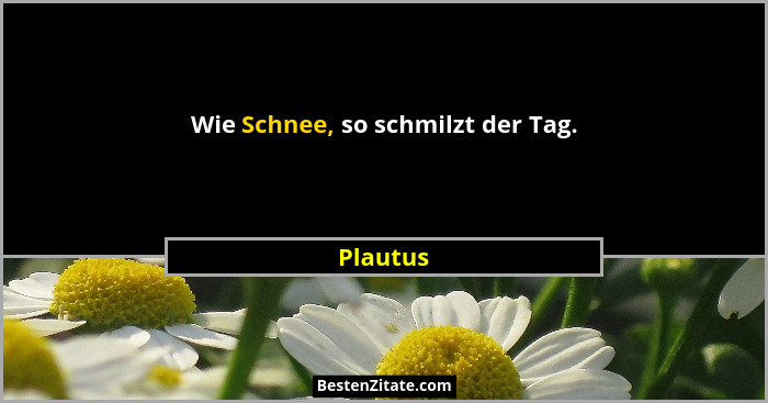 Wie Schnee, so schmilzt der Tag.... - Plautus