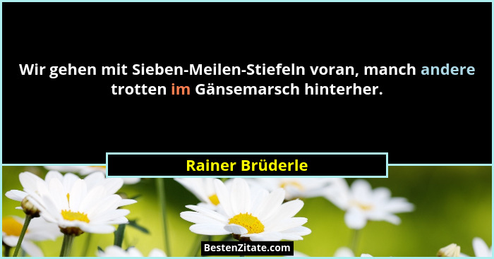 Wir gehen mit Sieben-Meilen-Stiefeln voran, manch andere trotten im Gänsemarsch hinterher.... - Rainer Brüderle