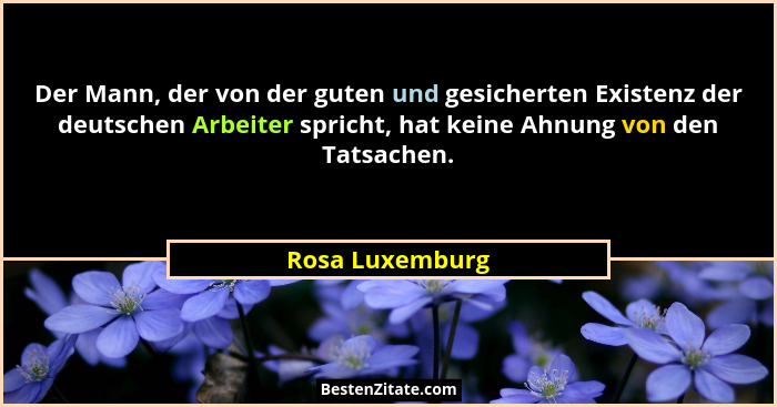 Der Mann, der von der guten und gesicherten Existenz der deutschen Arbeiter spricht, hat keine Ahnung von den Tatsachen.... - Rosa Luxemburg