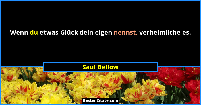 Wenn du etwas Glück dein eigen nennst, verheimliche es.... - Saul Bellow