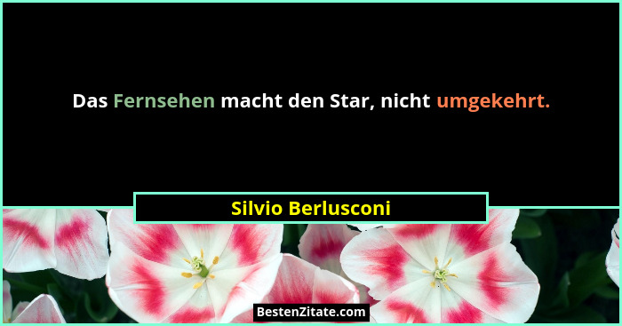 Das Fernsehen macht den Star, nicht umgekehrt.... - Silvio Berlusconi