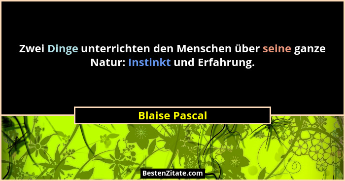 Zwei Dinge unterrichten den Menschen über seine ganze Natur: Instinkt und Erfahrung.... - Blaise Pascal