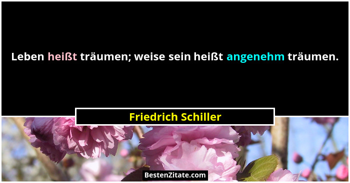 Leben heißt träumen; weise sein heißt angenehm träumen.... - Friedrich Schiller