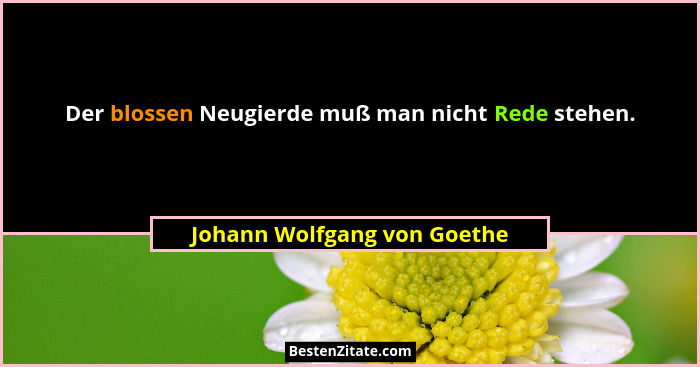 Der blossen Neugierde muß man nicht Rede stehen.... - Johann Wolfgang von Goethe