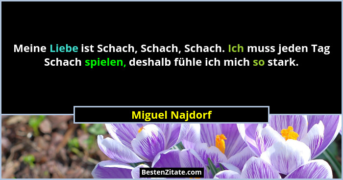 Meine Liebe ist Schach, Schach, Schach. Ich muss jeden Tag Schach spielen, deshalb fühle ich mich so stark.... - Miguel Najdorf