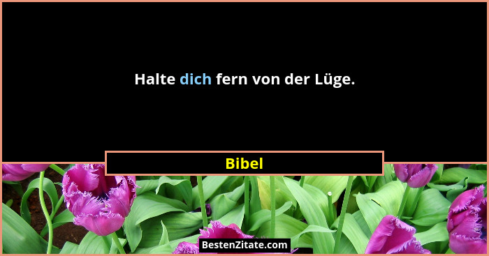 Halte dich fern von der Lüge.... - Bibel