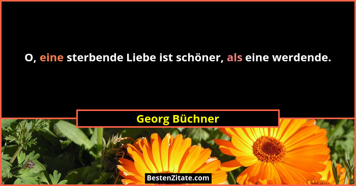 O, eine sterbende Liebe ist schöner, als eine werdende.... - Georg Büchner