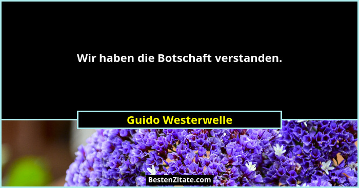 Wir haben die Botschaft verstanden.... - Guido Westerwelle