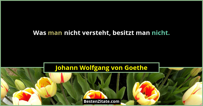 Was man nicht versteht, besitzt man nicht.... - Johann Wolfgang von Goethe