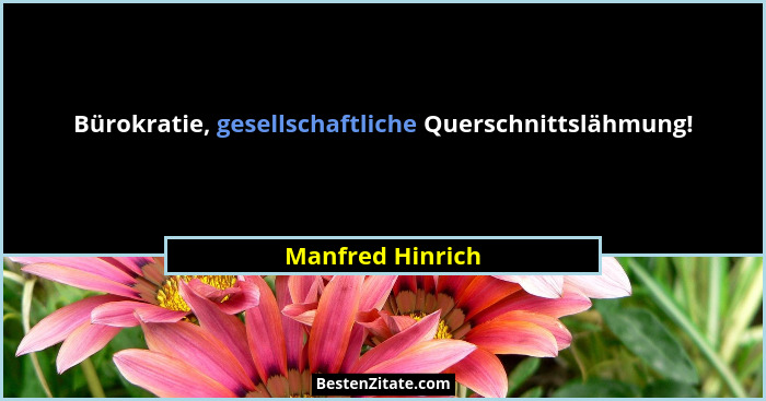 Bürokratie, gesellschaftliche Querschnittslähmung!... - Manfred Hinrich