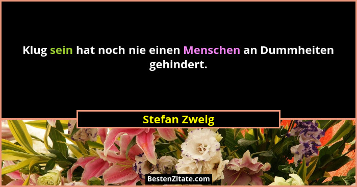 Klug sein hat noch nie einen Menschen an Dummheiten gehindert.... - Stefan Zweig