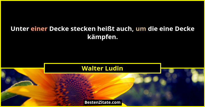 Unter einer Decke stecken heißt auch, um die eine Decke kämpfen.... - Walter Ludin
