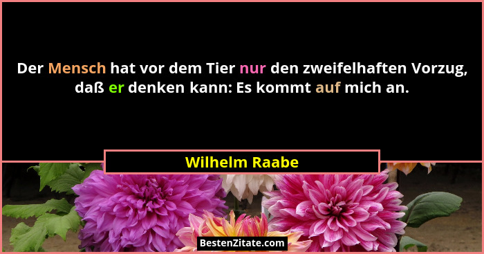 Der Mensch hat vor dem Tier nur den zweifelhaften Vorzug, daß er denken kann: Es kommt auf mich an.... - Wilhelm Raabe