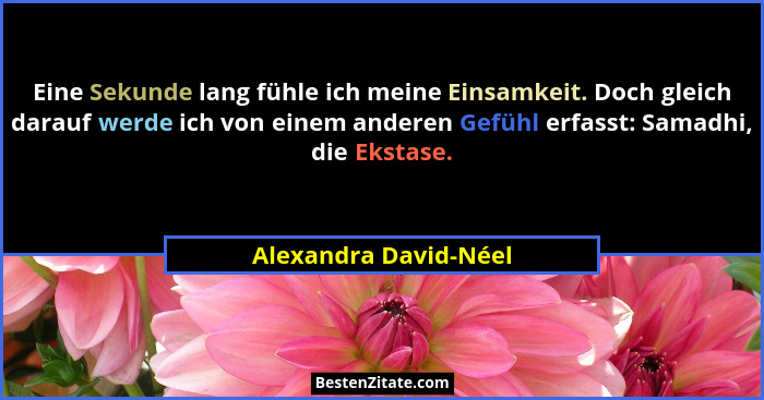 Eine Sekunde lang fühle ich meine Einsamkeit. Doch gleich darauf werde ich von einem anderen Gefühl erfasst: Samadhi, die Eksta... - Alexandra David-Néel