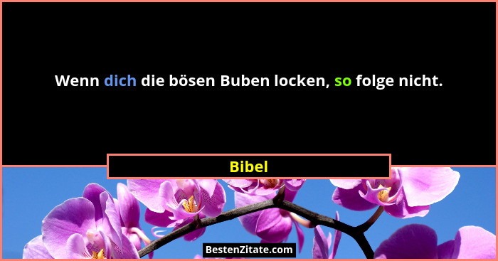 Wenn dich die bösen Buben locken, so folge nicht.... - Bibel