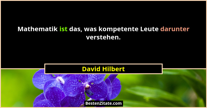 Mathematik ist das, was kompetente Leute darunter verstehen.... - David Hilbert