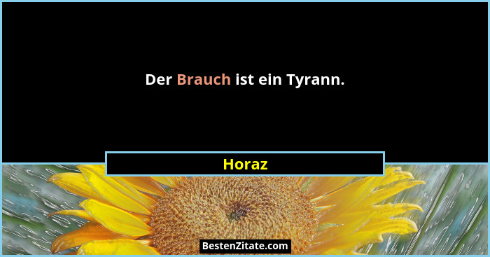 Der Brauch ist ein Tyrann.... - Horaz