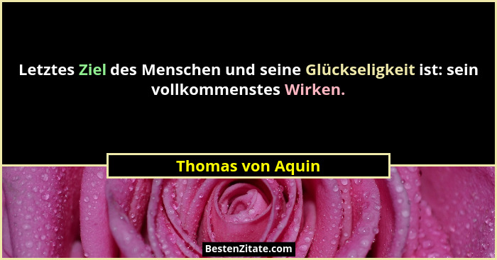 Letztes Ziel des Menschen und seine Glückseligkeit ist: sein vollkommenstes Wirken.... - Thomas von Aquin