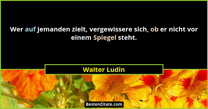 Wer auf jemanden zielt, vergewissere sich, ob er nicht vor einem Spiegel steht.... - Walter Ludin