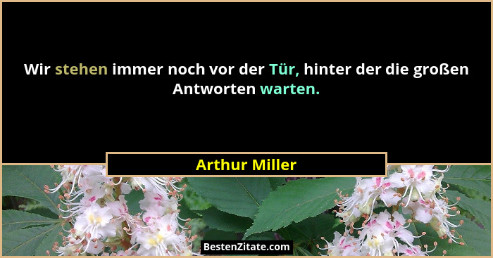 Wir stehen immer noch vor der Tür, hinter der die großen Antworten warten.... - Arthur Miller
