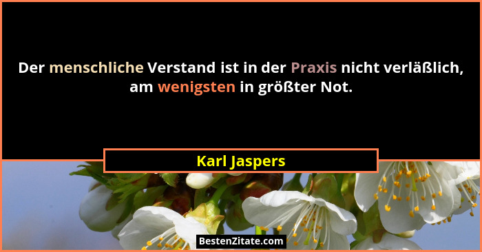 Der menschliche Verstand ist in der Praxis nicht verläßlich, am wenigsten in größter Not.... - Karl Jaspers