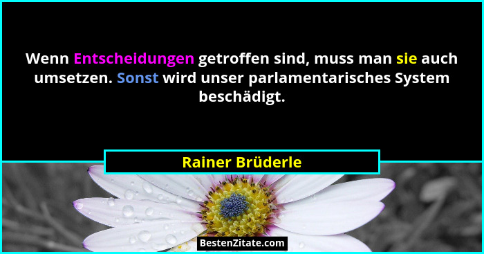 Wenn Entscheidungen getroffen sind, muss man sie auch umsetzen. Sonst wird unser parlamentarisches System beschädigt.... - Rainer Brüderle