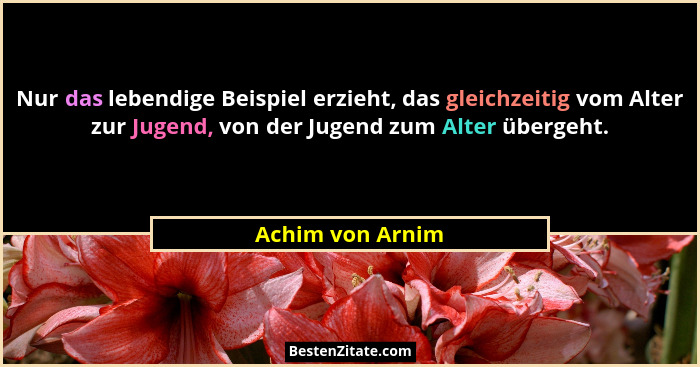 Nur das lebendige Beispiel erzieht, das gleichzeitig vom Alter zur Jugend, von der Jugend zum Alter übergeht.... - Achim von Arnim